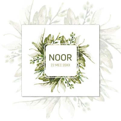 web noor vierkant enkel